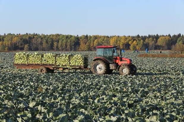 Ветераны СВО смогут получить профессию и трудоустройство в АПК Ленобласти