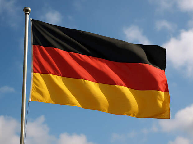 Немецкий суд запретил называть АдГ правоэкстремистской организацией