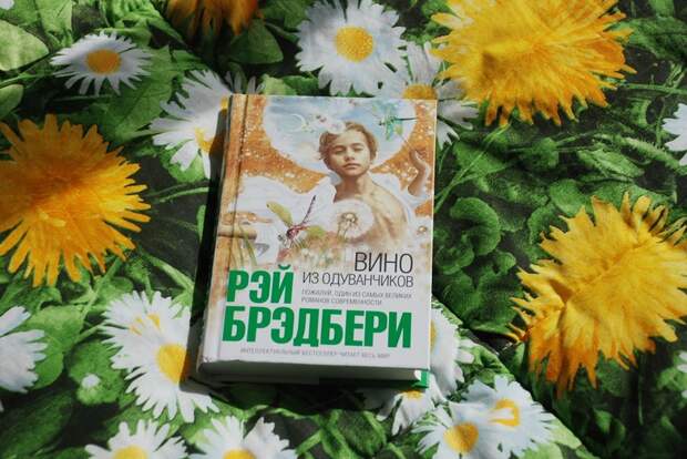 Картинки по запросу Вино из одуванчиков Рэй Брэдбери 