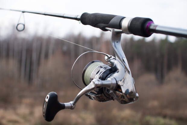 Я ставил Shimano Rarenium '12 С3000 и Ultegra '05 2500S. В...