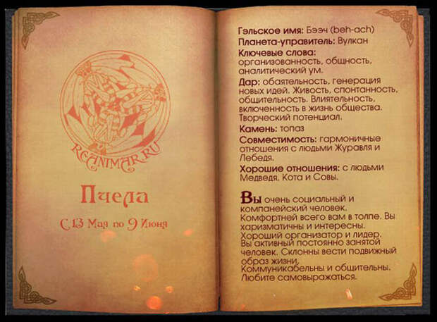 Кельтский гороскоп
