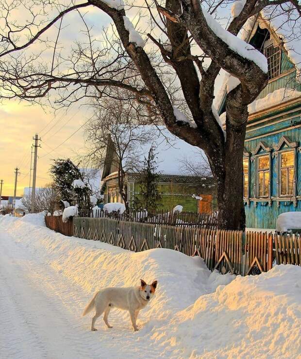 25 фотографий русской деревни, которые вернут вас в детство 25 фотографий русской деревни, которые вернут вас в детство деревня, детство, ностальгия, русская деревня