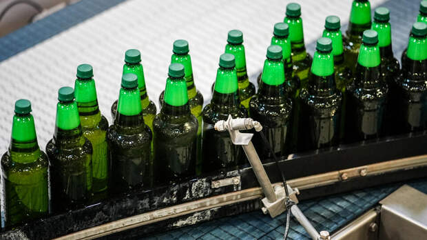 Пивоваренная отрасль получит кадровую поддержку от технологического института