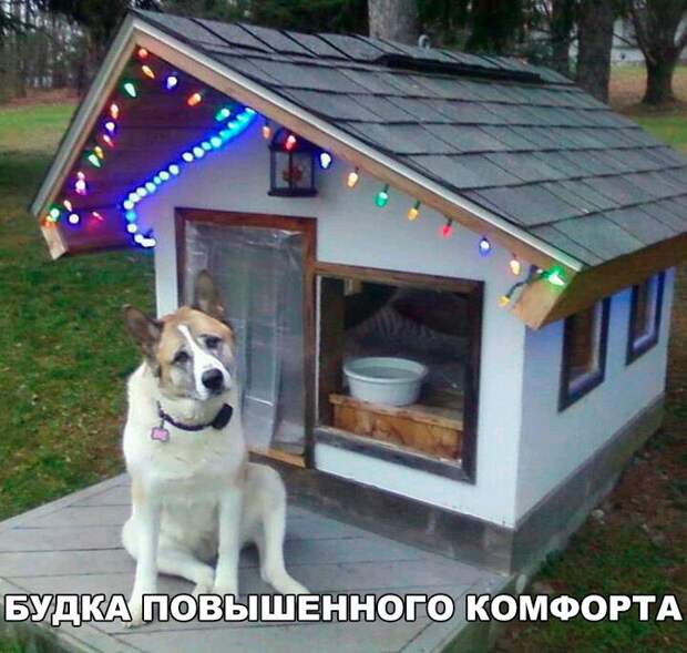 Веселые картинки и фото приколы для поднятия настроения (12 фото) Веселые картинки и фото приколы для поднятия настроения (12 фото)