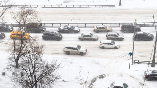 Синоптик Позднякова рассказала о рекордной высоте снежного покрова в Москве