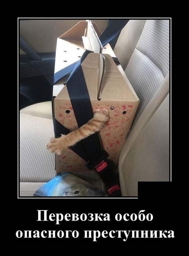 Демотиваторы 6 августа 2021 года