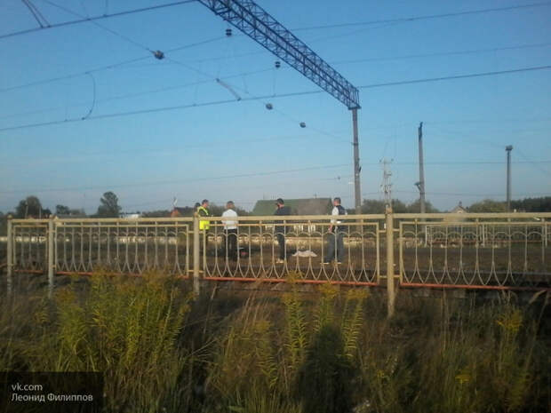 В Ленобласти подростка на полной скорости сбил тепловоз