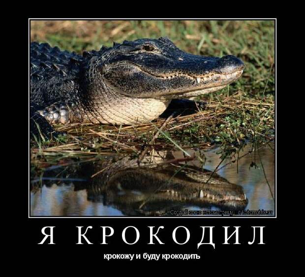 Я крокодил, крокожу и буду крокодить