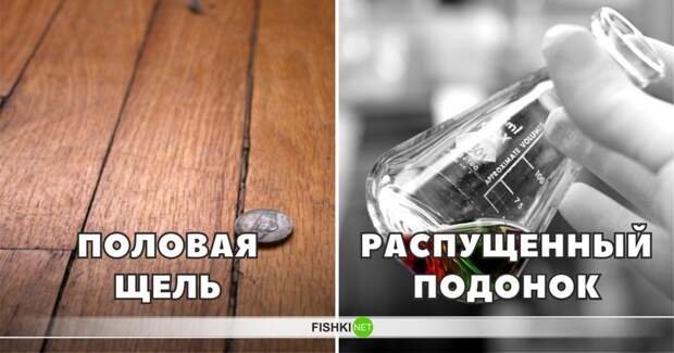 Слово половая, а уж тем более щель, сегодня ассоциируется вовсе не с отверстием в полу, а распущенный подонок ранее означал осадок, растворенный в воде интересное, лексика, пошлости, эвфемизмы, эффект голубого щенка