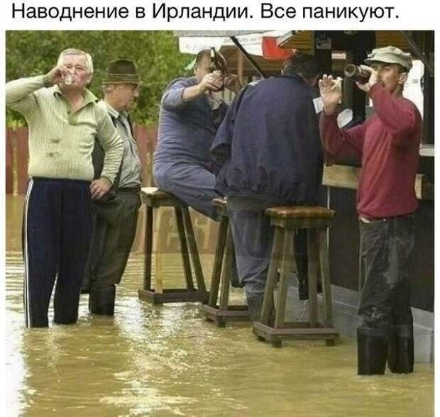 Весёлые картинки