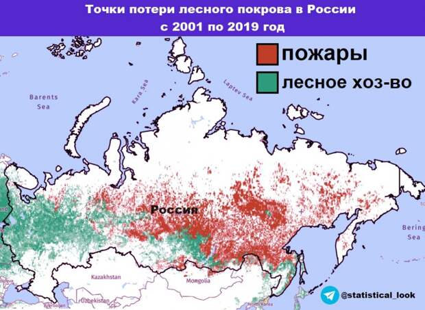 Потери лесов в России, высокая рождаемость на Сахалине и депопуляция северного Китая