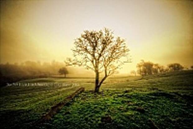 ФОТОГРАФ MIKE SHAW 8