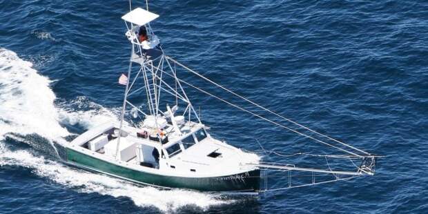 How The Salt Life Charter Captains Directory Can Help You Plan The Fishing Trip Of A Lifetime