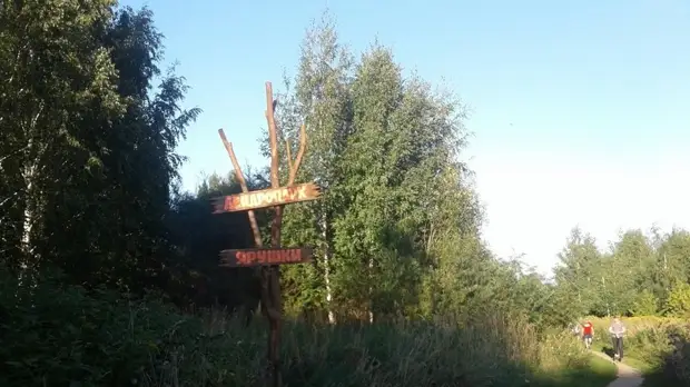 Ярушкинский дендропарк в Удмуртии сделают особо охраняемой территорией