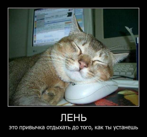 Демотиваторы от 29.09.11