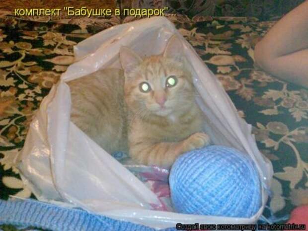Лучшие котоматрицы недели, 35 шт.