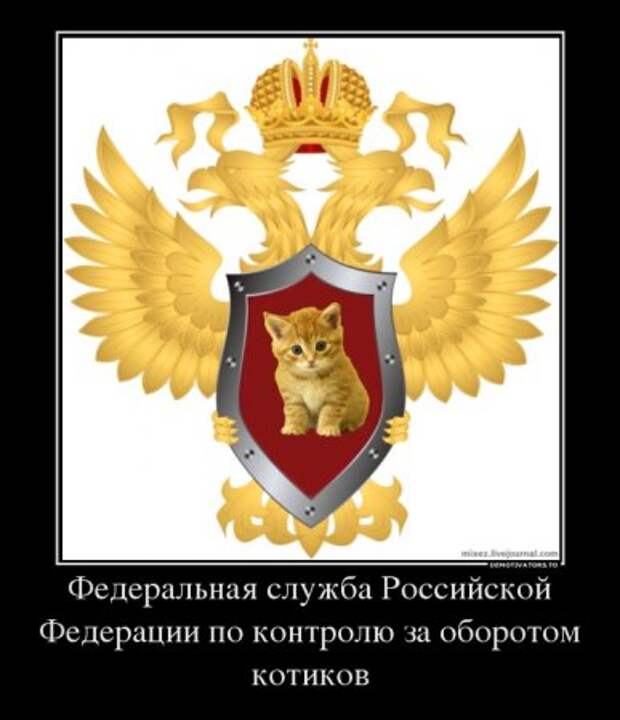 Новые демотиваторы, без улыбки не уйдешь!