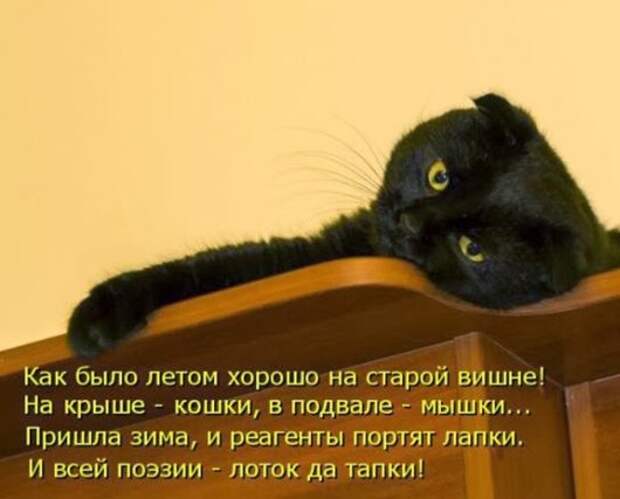 7df4a9e2ef34d1bbe1e8309dbd6_prev