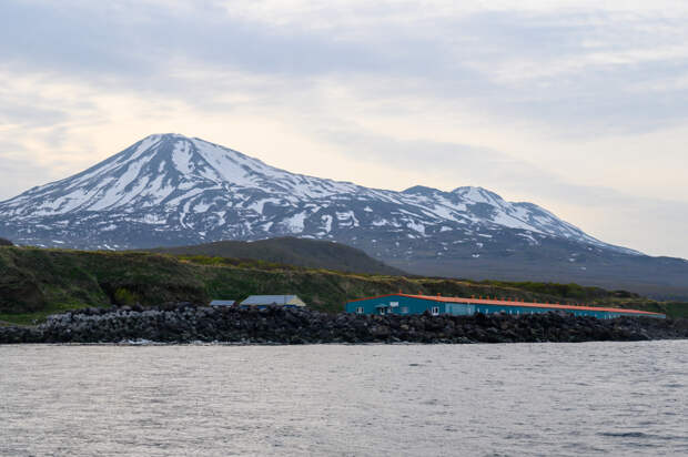 Мощное землетрясение произошло в российском регионе