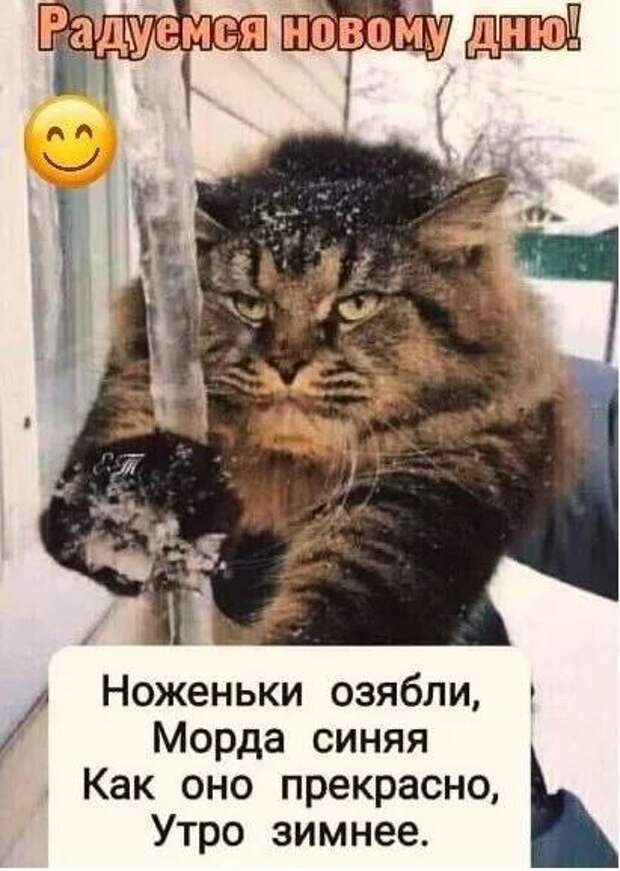 Кто ходил на улицу,как там?)