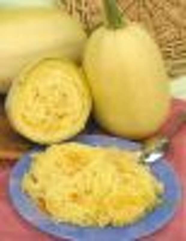 Сорт кабачка Спагетти
