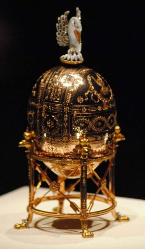 Пеликан