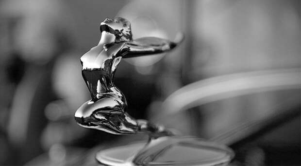 Автомобильные эмблемы на капотах (33 фото)