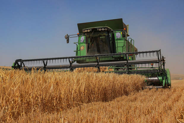 Глава Минсельхоза РФ Лут: Россия идет на рекорд по экспорту зерновых