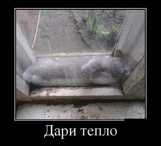 Демотиваторы бревно, демотиваторы, юмор