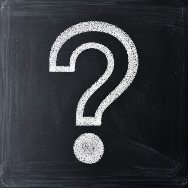 Какое животное самое ядовитое и как выглядит памятник невидимке: рубрика интересных фактов