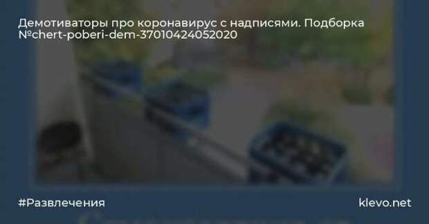 Демотиваторы про коронавирус с надписями. Подборка chert-poberi-dem-koronavirus-chert-poberi-dem-koronavirus-49310614122020-5 картинка chert-poberi-dem-koronavirus-49310614122020-5