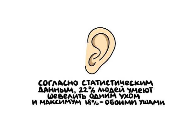 Короткие интересные факты на все случаи жизни