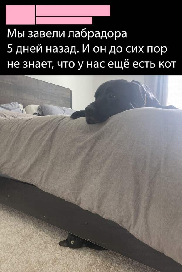 Картинка взята из открытого доступа в сети Интернет