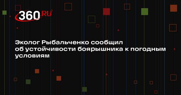 Эколог Рыбальченко сообщил об устойчивости боярышника к погодным условиям