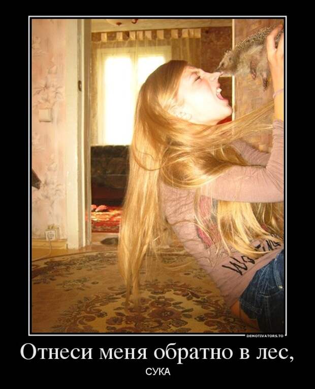 Немного новых демотиваторов
