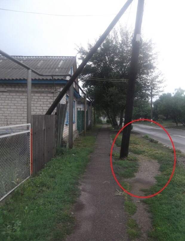 Прикольные картинки Прикольные картинки