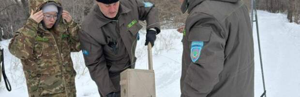 В Карагандинской области устанавливают скворечники для поддержки птиц