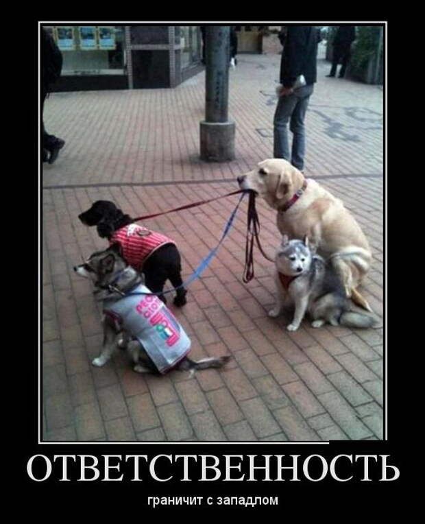 Самые позитивные демотиваторы дня (2014)