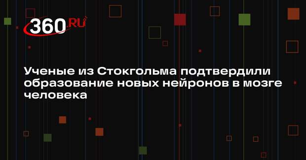 Ученые из Стокгольма подтвердили образование новых нейронов в мозге человека