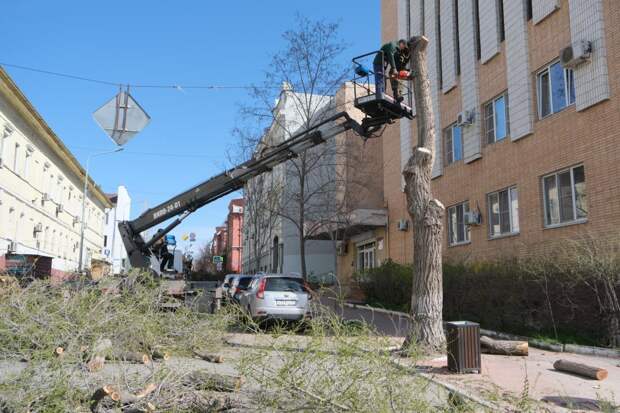 В центре Астрахани спиливают деревья