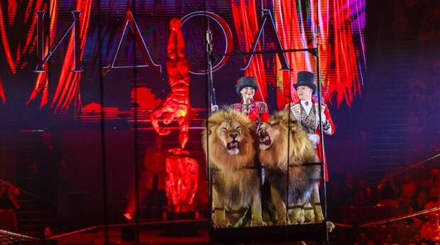 Фестиваль циркового искусства "Идол" пройдет с 30 мая по 12 июля - Собянин