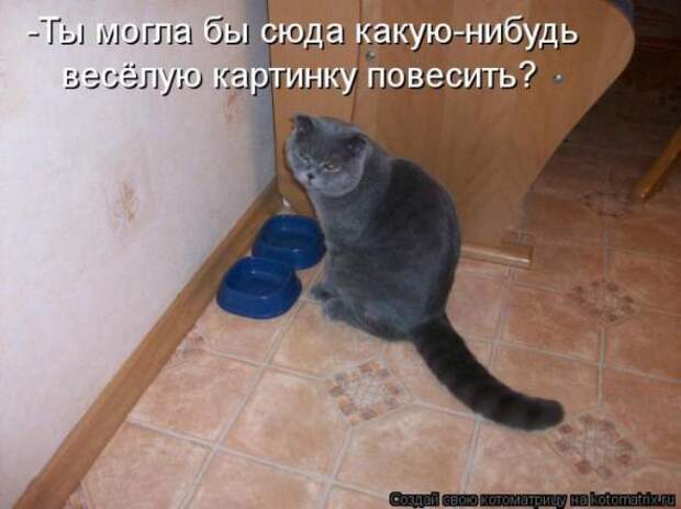 Котоматрицы (картинки с надписями)