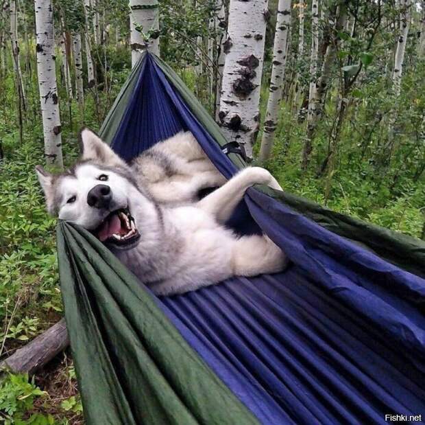 8a3b8bc0156b339ed79dbffaf64083d8 (700x699, 360Kb)