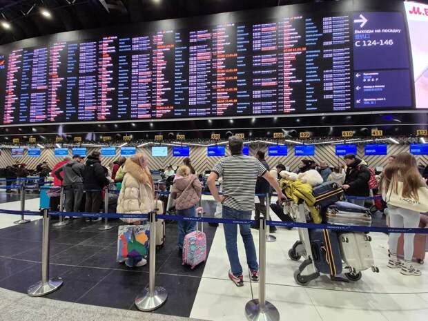 В аэропортах Москвы из-за сильного снегопада задерживаются около 50 рейсов