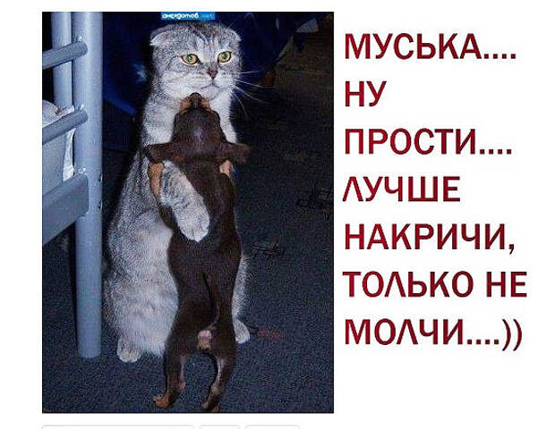 Р» (567x439, 217Kb)