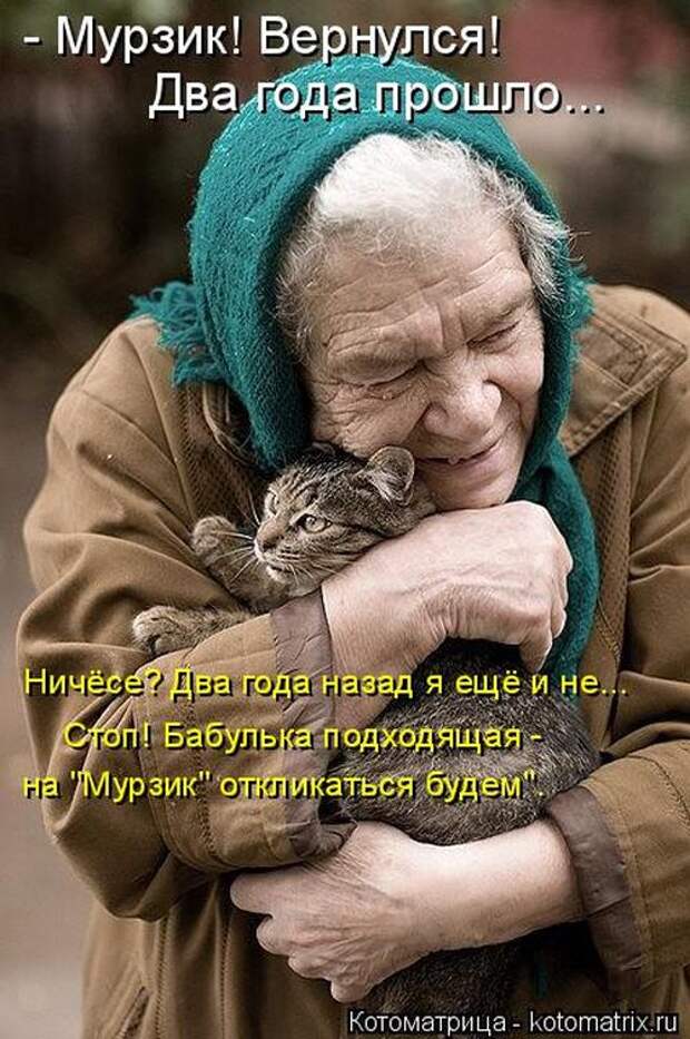 Лучшие котоматрицы недели (50 фото) Лучшие котоматрицы недели (50 фото)