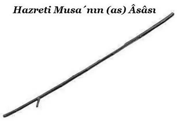 посох мусы. посох моисея во дворце топкапы. кхаккхара посох. посох моисея в стамбуле. моисей пророк посох.