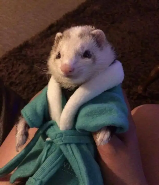 Позитив и юмор в смешных фотографиях