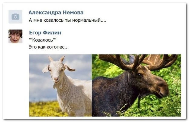 Соцсети жгут