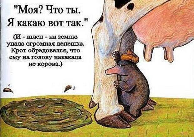 Неприятность с кротом